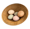 الألبان والبيض