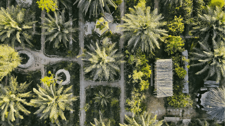 Regional, regenerative, and seasonal farming