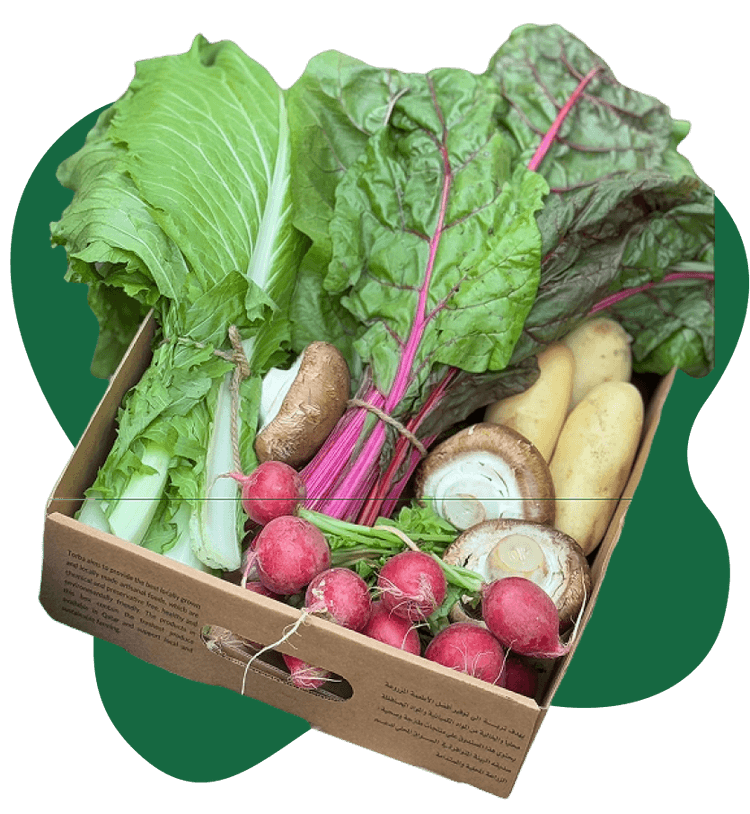box-features-banner