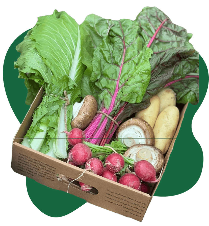 box-features-banner